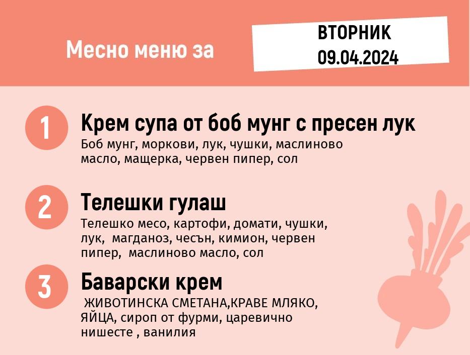 Меню 09.04 месно 200гр.