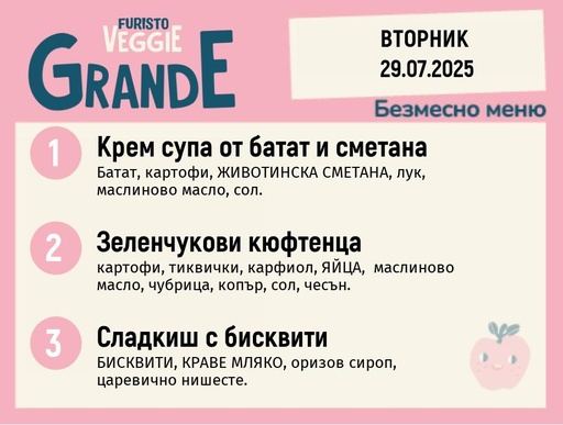 [DY.05.25.5685] Меню 29.07 безмесно 300гр. 