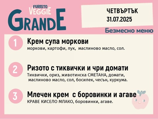 [DY.05.25.5690] Меню 31.07 безмесно 300гр.