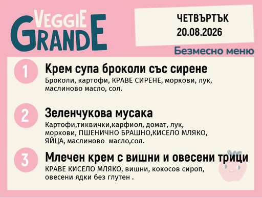 [DY.07.26.11358] Меню 20.08 безмесно 300гр.